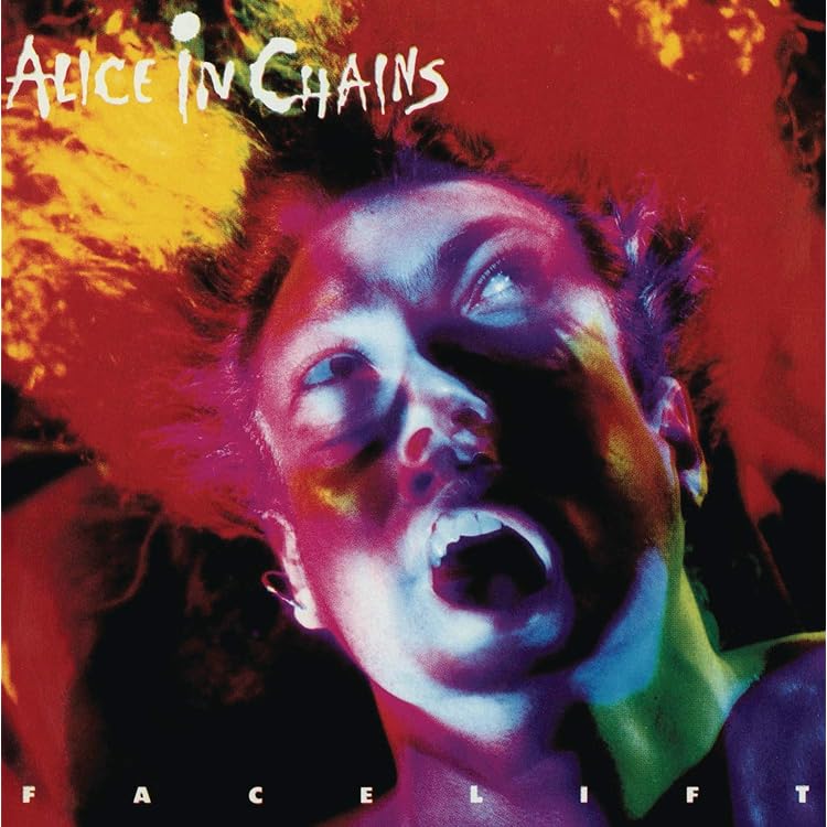 洋楽 Alice In Chains JAR OF FLIES / SAP Alice In Chains – Jar Of Flies / Sap – 2 x Vinyl (Compilation