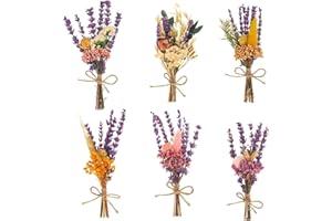 FENGQQKJ Ramo de flores secas sin mini ramo de flores prensadas, flores secas para manualidades, flores secas naturales, decoración falsa, flores artificiales, flora conservada, lila para decoración de flores