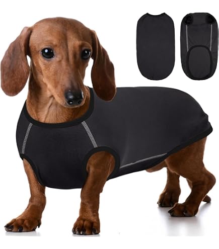 Leletail Dackel-Pullover – Rollkragen, Weich & Warm, Für Kleine Hunde, Gr. XS–XL, Gestrickter Haustiermantel Für Herbst/Winter