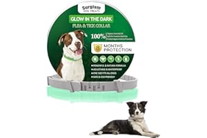 Surglam Flea and Tick Collar for Dogs, 8 Months Natural Flea Treatment for Dogs Waterproof Adjustable Luminous Safety Dog Collars for Large Dogs and Puppies,Dark Green…