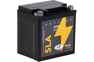 LP BATTERIES LANDPORT Batterie 12V 30Ah LTX30L SLA kompatibel für HD Road King Classic, Street Glide, Schneemobil Polaris Wide Trake, Chopper