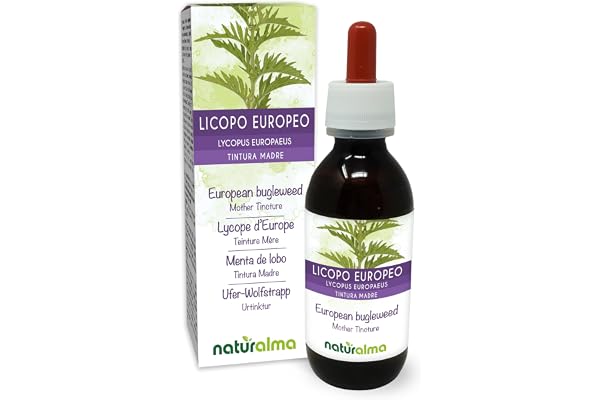 Lycope d'Europe ou Patte de loup (Lycopus europaeus) herbe Teinture Mère sans alcool Naturalma - Extrait liquide gouttes 120 ml - Complément alimentaire - Végétalien ou végan
