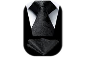 HISDERN Cravatta Uomo Tinta e Fazzoletto Elegante Classico Paisley Cravatta Set per il Matrimonio Festa Lavoro Laurea