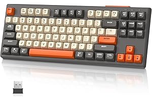 MAMBASNAKE TKL- Tastiera da gioco wireless, Bluetooth/2,4 GHz, copritasto PBT, batteria ricaricabile da 4000 mAh, tastiera retroilluminata arcobaleno a colori misti con sensazione meccanica-Glimmer