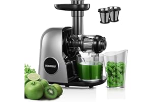 Juicer Machines, HOUSNAT Slow Masticating Juicers Whole Fruit and Vegetable, Professional Cold Press Juicer Extractor with Quiet Motor and Reverse Function Easy to Clean, Brush & Recipes Included