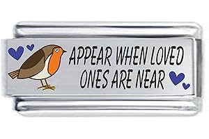 DAISY CHARM Colorev When Loved Ones are Near Robins Appear Superlink Colorev Italian Charm - Compatable with all 9mm Italian Style Charm Bracelets