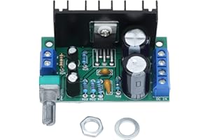 LIEBEWH Módulo Amplificador 12-24V Placa Amplificador de Altavoz de Sonido Mono Placa de Amplificación de Potencia 1 Canal 5W-120W TDA2050