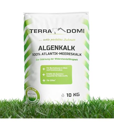 Compo Algenkalk fr Buchsbume, Pflanzenstrkungsmittel zur allgemeinen  Gesunderhaltung von Buchsbumen, 2 kg : Amazon.de: Garten