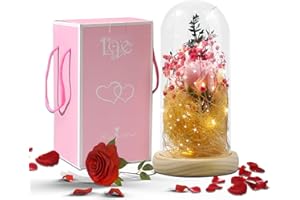 Resszo La Bella e La Bestia Rosa Eterna Rosa Eterna Elegante Cupola di Vetro con Luci LED Magici Decorazioni per San Valentino Anniversario di Matrimonio Vacanza, Regali San Valentino per lei