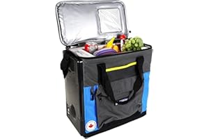 KOOLATRON Michelin Portable Cooler - Electric Lunch Bag For Car, Camping, Travel, 12 V Insulated Soft Sided Refrigerator For Vehicle, Boat, Truck, Warming & Cooling, Cools Drinks,Food For Road Trip, 14L