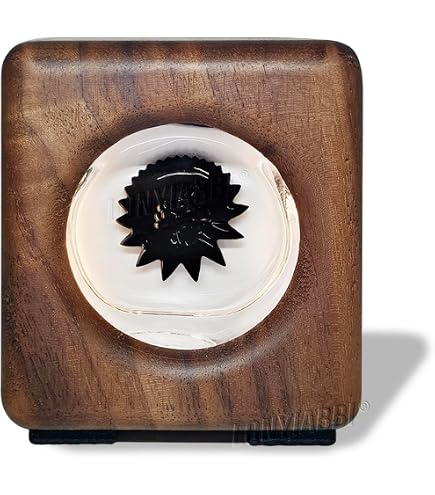 Lampada Ferrofluid Visualizzatore Musicale | Ballerino Ritmico Con LED Bianco | Batteria 8 Ore | Modalità Audio E AUX | Regalo Tecnologico Scrivania - 4