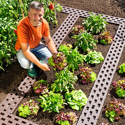 Beetplatten 10-er Packung - 3