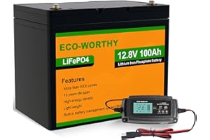 ECO-WORTHY Batteria LiFePO4 da 12,8 V, 100 Ah, con caricabatterie da 5 A, LiFePO4 100 Ah, con protezione BMS a bassa temperatura e 3000 cicli bassi per impianto solare, camper, barca, casa, pannello