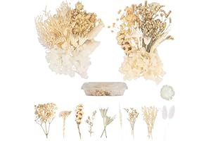 LAUMOE 2 Sätze Trockenblumen, Getrocknete Blumen, Trockenblumen zum Basteln, Trockenblumen Weiß Lila Trockenblumen Deko für Kunst Basteln Dekoration (Weiß+Weiß)