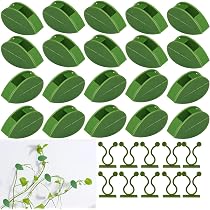 60 Clips De Fixation Pour Plantes | 50 Auto-adhésifs Feuille + 10 Muraux | Pour Vignes, Légumes, Jardinage