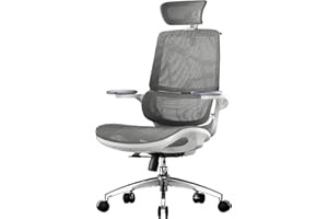 SIHOO M59AS Ergonomic Office Chair, Desk Chair with 3D Coordinated Flip-up Armrests, Computer Chair with Dual Back Design and Adaptive Dynamic Lumbar