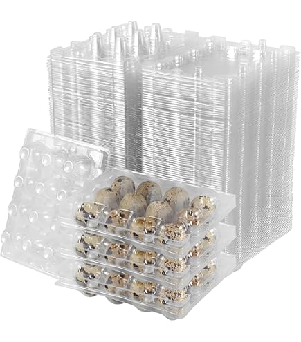 QIUMING Wachteleierbox - 35 Fächer Aus Perlbaumwolle Weiß