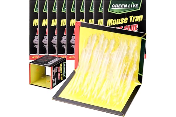 10Pcs Trampa Pegamento Ratones (31×21cm), Profesional Trampas para Ratones Ecológicas, Adhesiva para Ratas, Potentes Trampas para Ratas Grandes Adhesivas, Trampas Ratas Apto para Cucarachas Y Arañas