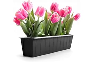 ‎BIGDEAN BigDean 6 Stück Paletten Blumenkästen Einsatz in Anthrazit – Pflanzkasten zum Bepflanzen & Dekorieren – Balkonkasten für Kräuter, Blumen & Pflanzen – UV-Stabiler & wetterbeständiger Kunststoff