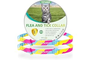 YOTANGO Collare Antipulci Gatto, Collare Antiparassitario per Gatti, Trattamento Collare Gatto Antiparassitario Regolabile 8 Mesi di Protezione Naturale Antipulci per Gattini di Taglia e Grande Colore-2 Pz