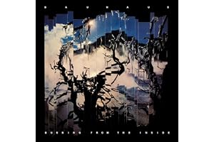 Bauhaus - Burning From The Inside