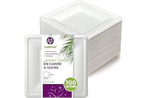 GoBeTree 100 Assiettes Jetables carrées 16 cm en Canne à Sucre Blanche, assiettes en papier jetables extra durables, Pour Camping, Pique-niques, Fêtes, Barbecues, Anniversaires