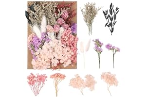 Halinuia Dried Flowers, Real Dried Flowers, Natural for DIY Candle Craft Scrapbooking Photo Frame Decoration for Wedding (Purple, Pink, Red)