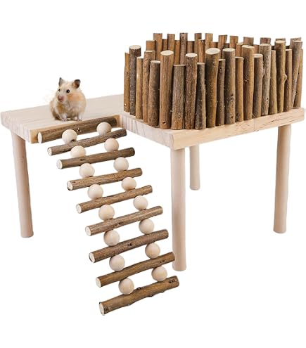 Piattaforma Per Criceti Con Scaletta In Legno - Giocattolo Da Arrampicata, Parco Giochi Per Piccoli Animali