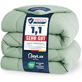 CozyLux Duvet 15 x 220 cm Sage Green, Duvet Bed 90 cm | Duvet Filling 300 g/m&sup2;, 100% Microfibre, OEKO-TEX 100, with 4 Corner