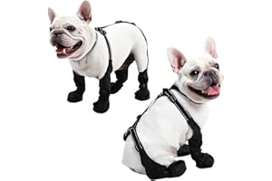 BECROWM wasserdichte Hundestiefel, Hundepfotenschutz für kleine bis mittelgroße Hunde, verstellbare Schuhe für Haustiere zum Gassi gehen, weiche Schuhe für Haustiere, Pfotenschutz (Schwarz, Mittel)