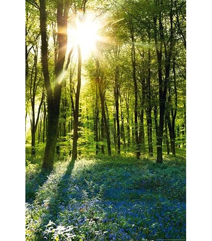 XXL Poster 100 X 70 Cm – Meereslandschaft Mit Steilküste & Sonne – Gerollt Geliefert