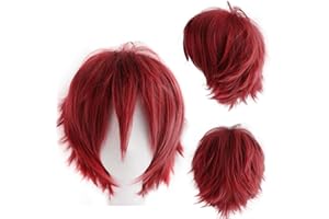 Dcbaboo Parrucca corta e riccia da uomo/donna, parrucca per cosplay di anime, 30,5 cm, capelli lisci e soffici naturali, unisex, per Halloween, travestimenti, parrucca sintetica completa con cuffia