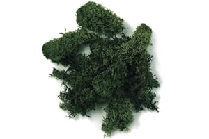 Rayher 8500413 Iceland Moss Dark Green 30 g Real Natural Moss (Iceland) Preserved Cleaned for Crafts Decorative Moss for Easter Christmas Model Making