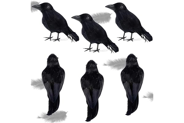 Sadodo 6 stycken halloween kråkor konstgjorda befjädrade kråkor realistiska ravor fåglar dekorationer svart fjäder kråka fågel för halloween fest rekvisita inomhus utomhus hus trädgård dekoration