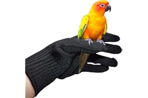Eurobuy Vogeltraining, Anti-Biss-Handschuhe für kleine Tiere, Kau-Schutzhandschuhe aus Stahldraht, zum Greifen von Vögeln, Training, Füttern usw., 22,9 x 15,2 cm. 3