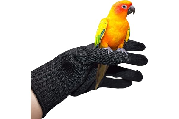Nicoone Gants d'entraînement Anti-Morsure pour perroquets, Gants de Protection pour perroquets et Animaux Qui manipulent des Gants et Fil d'acier - Gants de Protection à mâcher(1 Paire)