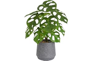LUWENER Artificial Plant in Pot,14" Potted Fake Monstera Plant with stones Decor,Faux green Plant for Living Room office Home Decoration（Monstera）