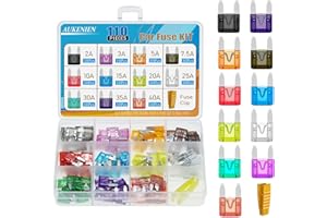 AUKENIEN Fusibles Automobile Mini 11 Valeurs 110 pièces Fusibles de Voiture 2A 3A 5A 7,5A 10A 15A 20A 25A 30A 35A 40A Car Fuses pour Auto Moto Fusible Lame Plat Scooter et Petit Clip