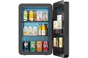 REBONIQUE Mini Kühlschrank, 22L/30 Dosen Kleiner Kühlschrank mit Kühl- und Heizfunktion, Mini-Kühlschränke mit AC+12V DC für Schlafzimmer Büros Autos, Tragbare Kühlbox für Getränke, Kosmetik, Snacks (Schwarz)