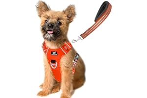 TUFFDOG Easy-Fit Dog Harness Small - Fast Release Neck Clip, Premium Padded Reflective No Pull Harness with Control Handle, Adjustable Step-in Dog Vest Plus Free Matching Lead (S, Blaze Orange)
