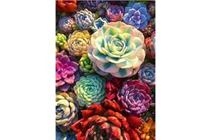 BEAYIOU Diamant Malerei Kits für Erwachsene,Sukkulente Pflanzen Runde volle Bohr Diamant Malerei Kits, 5D DIY Diamant Malerei Kits Edelstein Kunst Kits für Home Wall Decor 12x16 Zoll