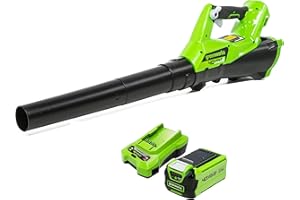 Greenworks Cordless Leaf Blower with Cruise Control, Lightweight Axial Leaf Blower 177km/h 11.05m3/min, 40V 2Ah Battery & Charger, Electric Leaf Blower Cordless Garden Blower, 3 Year Guarantee G40ABK2
