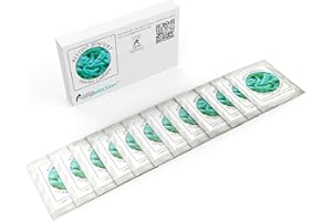 NATURAL PROBIOTIC SELECTION Ferments yaourt - Pack de 12 Sachets de Culture lyophilisée pour yaourt Bifido