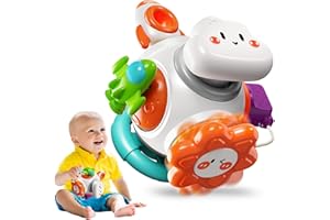LEADSTAR Giochi Bambini 1 Anno,Cubo Montessori attività Giocattoli per Bambini,6-in-1 Multifunzione Giochi Centri Educativi Infanzia Giocattoli,Regalo di Natale Compleanno per Bambini 1 2 3 Anno (B)