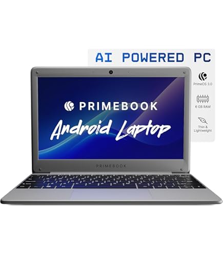 Dell (Renewed) Inspiron-11 3137 11.6-inch Laptop (Celeron 2955U