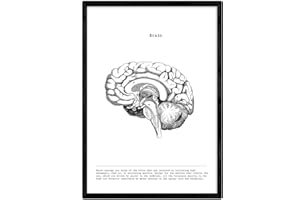 Nacnic Poster Anatomia in Bianco e Nero con Immagini del Corpo Umano. Lame Sulla biologia e Medicina con Dettaglio Cervello Laterale. Dimensione A4. con Marco.