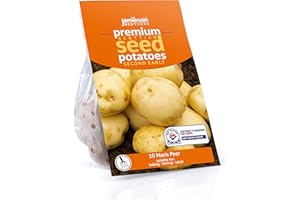 Jamieson Brothers 10 Tuber Maris Peer Seed Potatoes – JBA Second Early Grow Your Own Spuds – Baking, Boiling & Salads – Scottish-Grown & Ready to Plant at Home in Pots, Gardens & Allotments