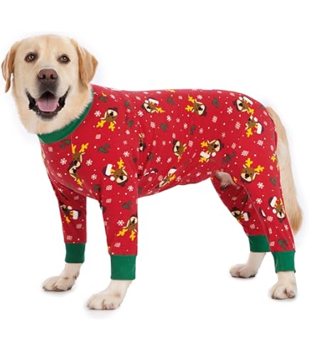 Tuta Di Recupero Per Cani Post-Operazione - Alternative Al Collare Elisabettiano, Taglia 4XL Blu Grigio