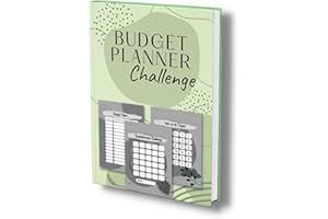 Budget Planner Challenge: 42 Sparchallenges + 16 neutrale Budget Sheets. Geld sparen & reich werden mit der Umschlagmethode. (Herausforderung angenommen! Spare dich reich und glücklich., Band 5)