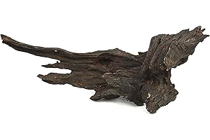 Lucky Reptile DW M Driftwood Medium, M